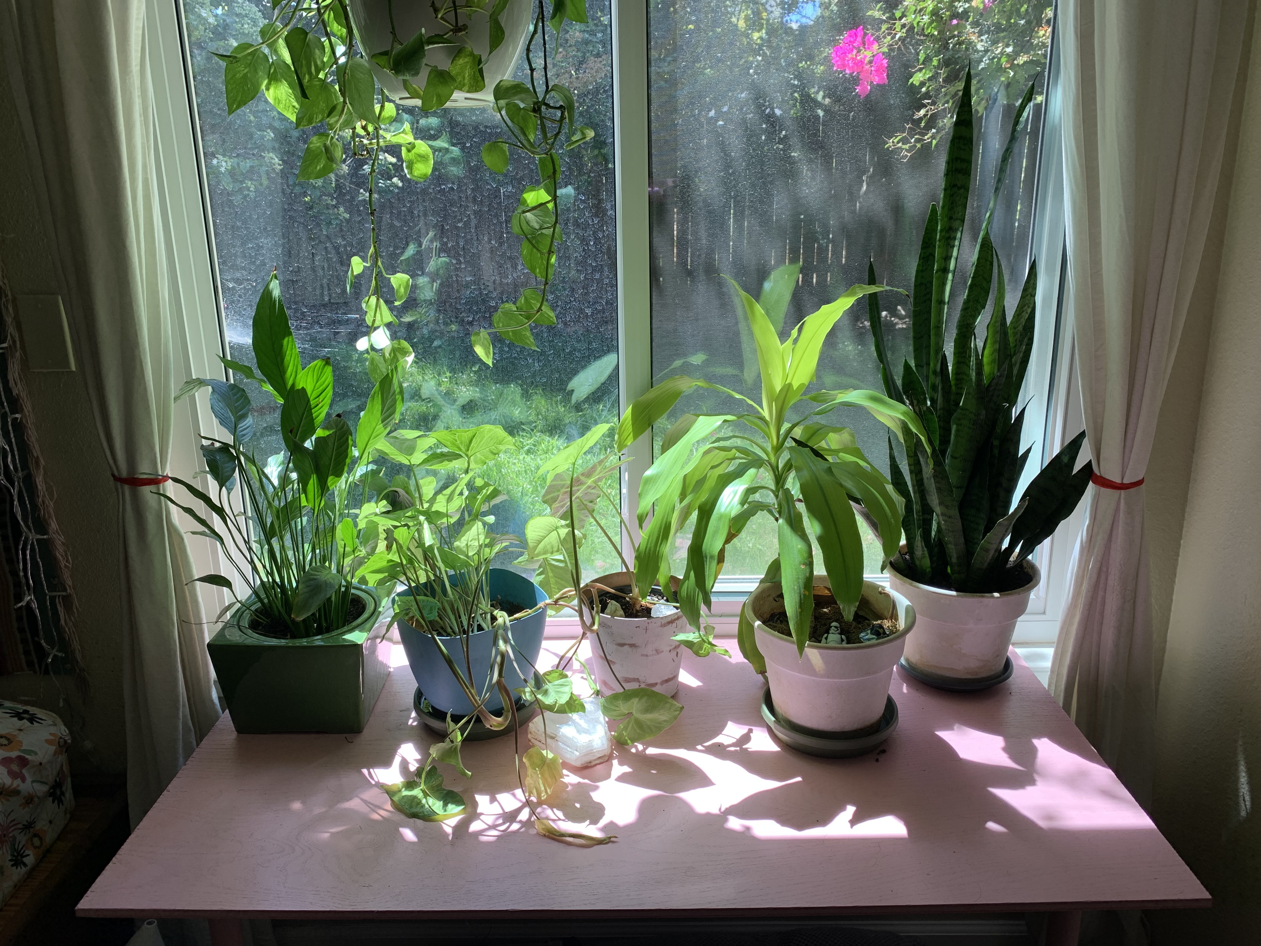 A pink table in front of a window with a bunch of plants on it.